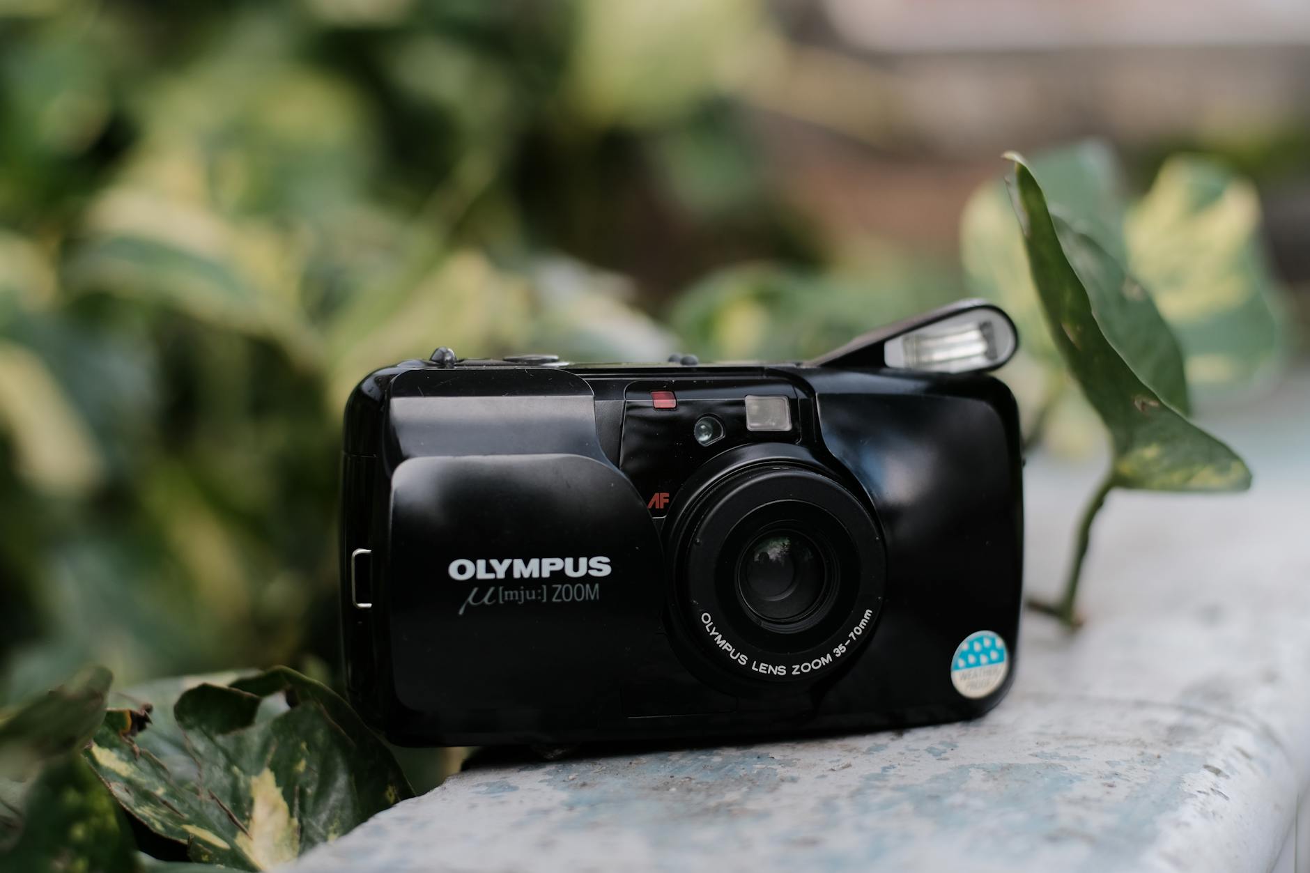 デジタルカメラ OLYMPUS mju Olympus Mju 1 (Stylus) Review: A Timeless Compact Classic – Dutch