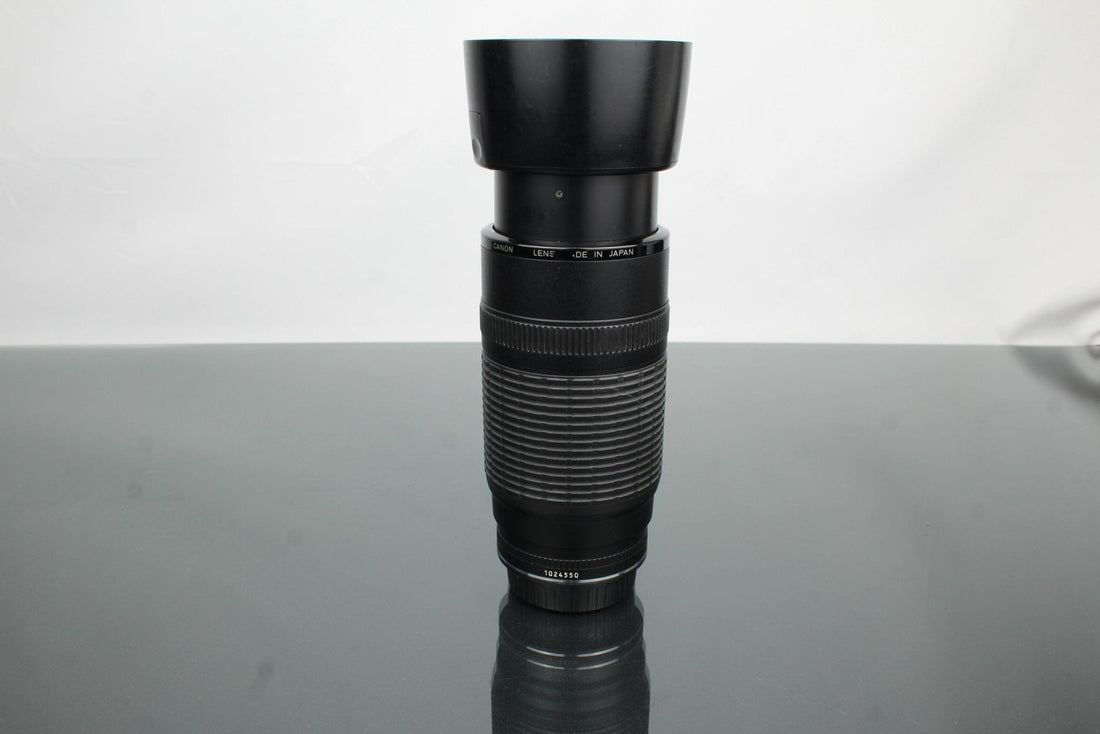 Exploring the Canon EF 100–300mm f/5.6 Telephoto Zoom Lens - Dutch|Thrift