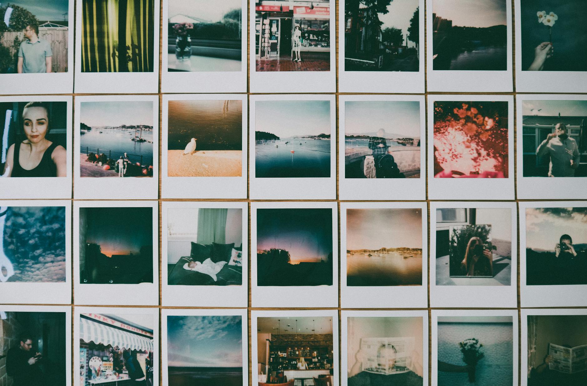 How to Turn Thrifted Cameras into Gallery Prints – Dutch|Thrift