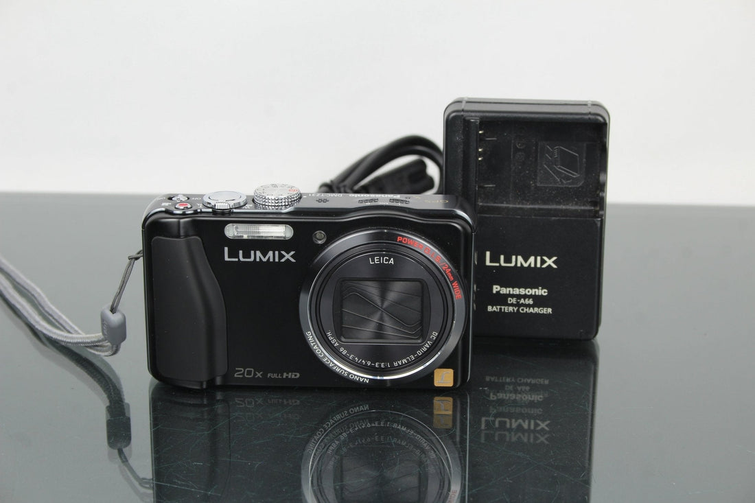 Panasonic Lumix DMC-TZ31 Review: Second-Hand Travel Gem - Dutch|Thrift