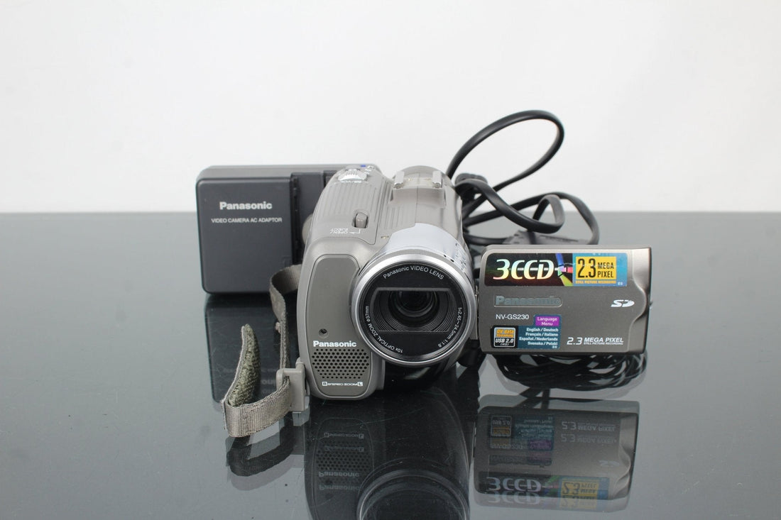 Panasonic NV-GS230 MiniDV Camcorder: Compact Classic Charm - Dutch|Thrift