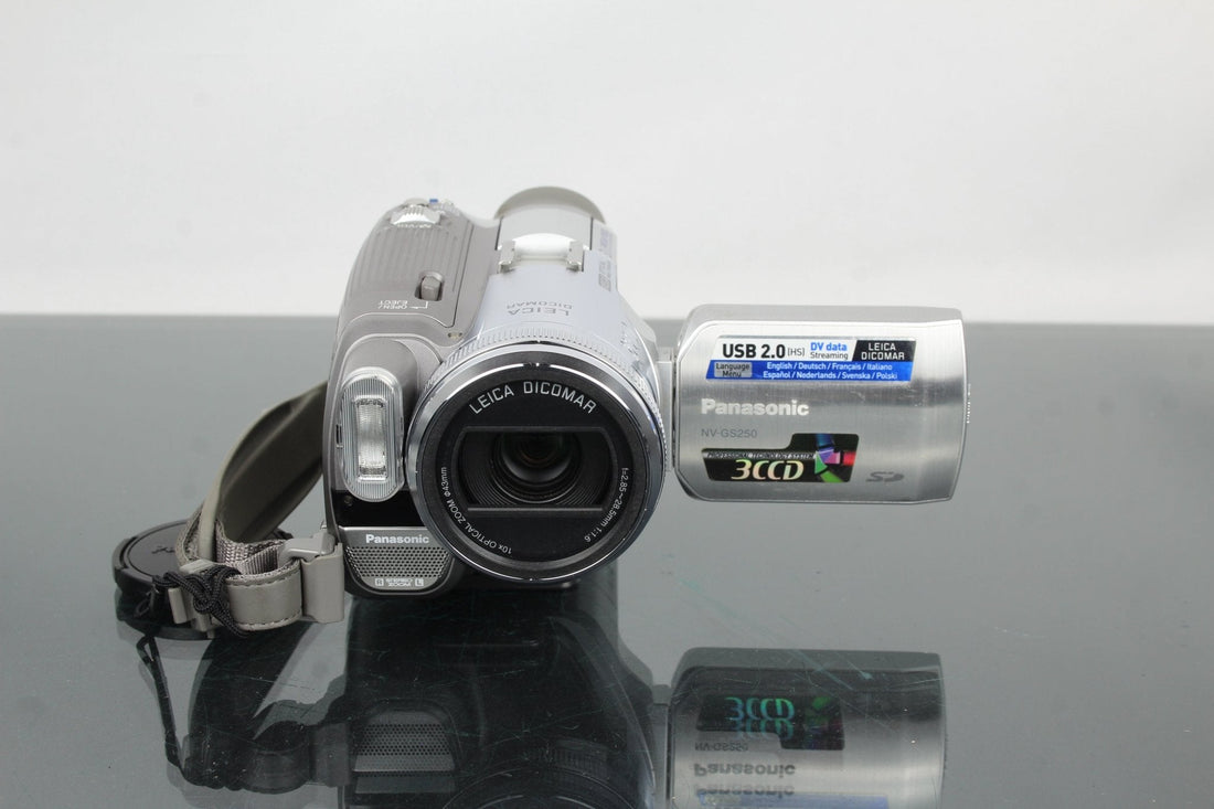 Panasonic NV-GS250 3CCD: MiniDV Camcorder for Modern Creators - Dutch|Thrift