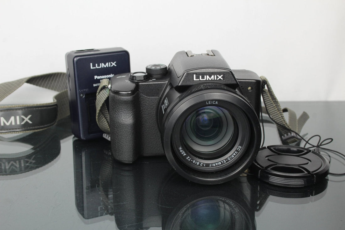 Rediscovering the Panasonic Lumix DMC-FZ10 in 2025 - Dutch|Thrift