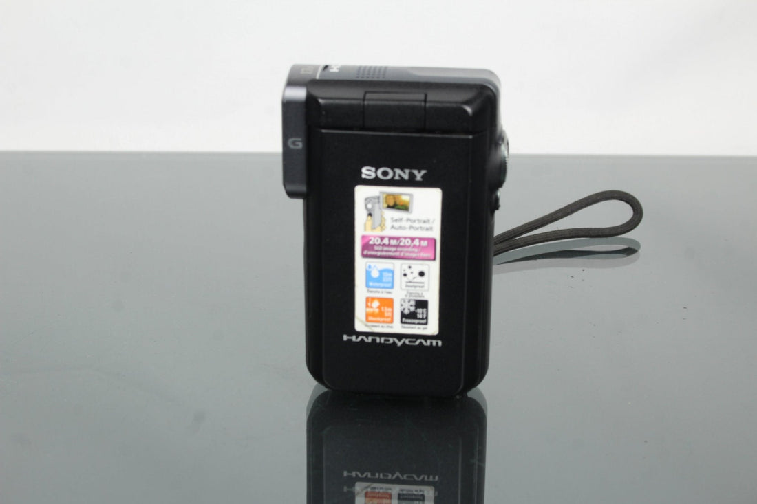Sony Handycam HDR-GW66 Review & Buying Guide (Still Great) - Dutch|Thrift
