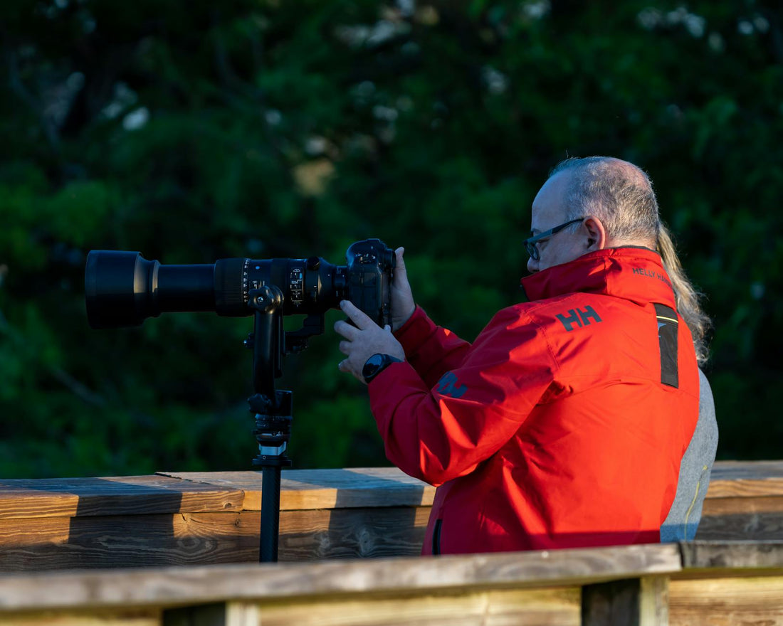 Top Budget Telephoto Lenses for Wildlife Photography - Dutch|Thrift