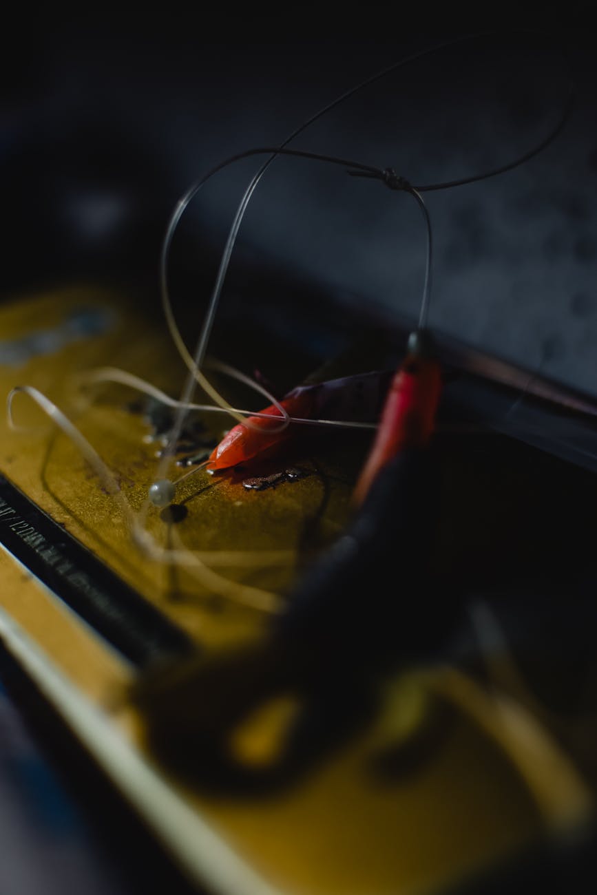 Why We Can’t Buy Every Camera: Understanding Our Trade-In Limits - Dutch|Thrift