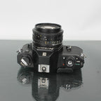 Nikon EM + Nikon Series E 50mm 1:1.8