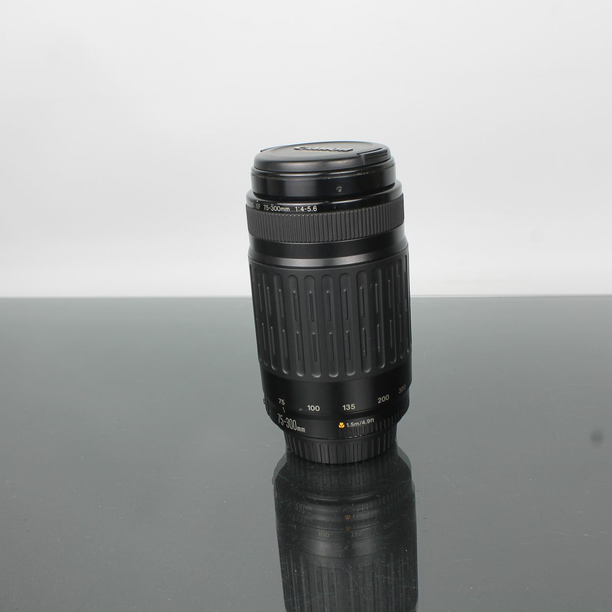 Canon EF 75-300mm 1:4-5.6