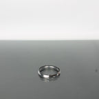 Ricoh XR P Mount Adaptor
