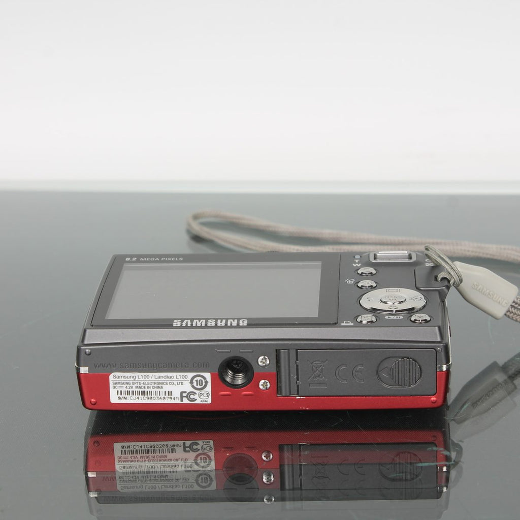Samsung L100