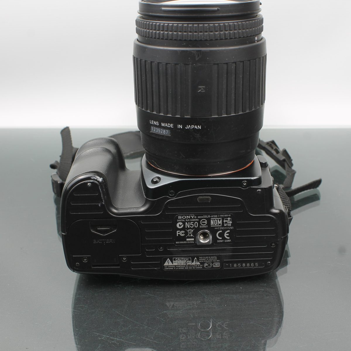Sony A100 + Sigma Zoom 28-200mm f/3.8-5.6