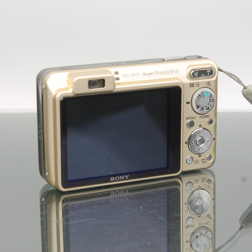 Sony Cyber-shot DSC-W170