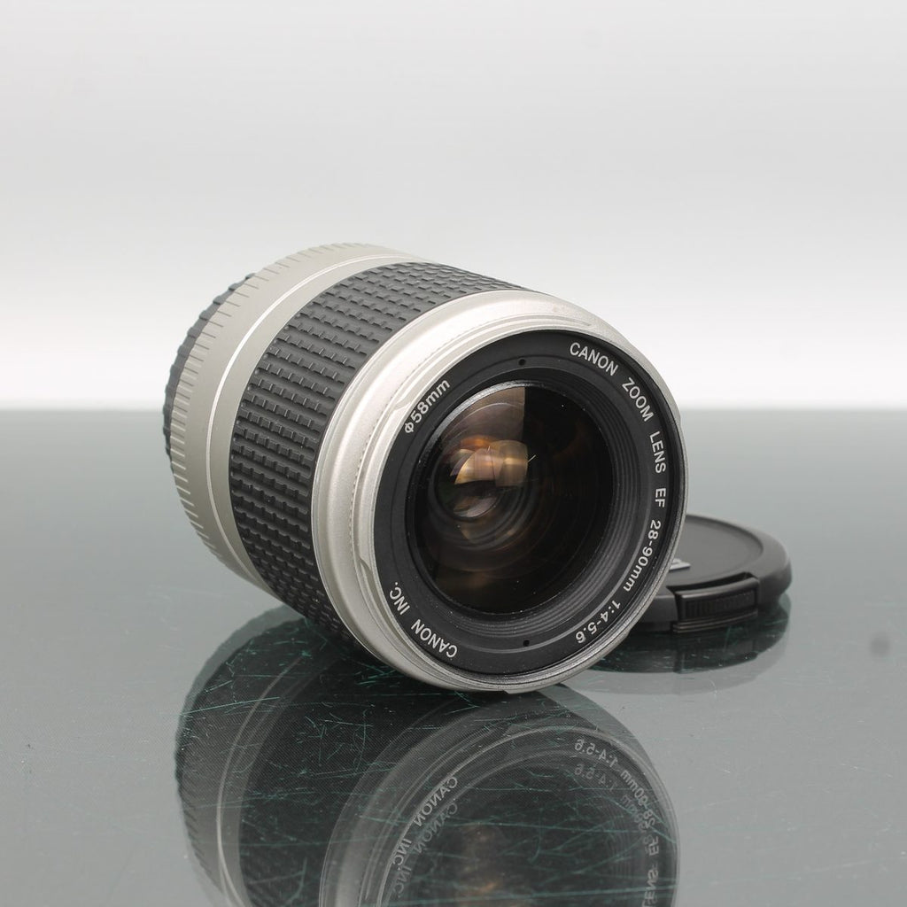 Canon EOS 300 + Canon Zoom Lens EF 29-90mm F/4-5.6