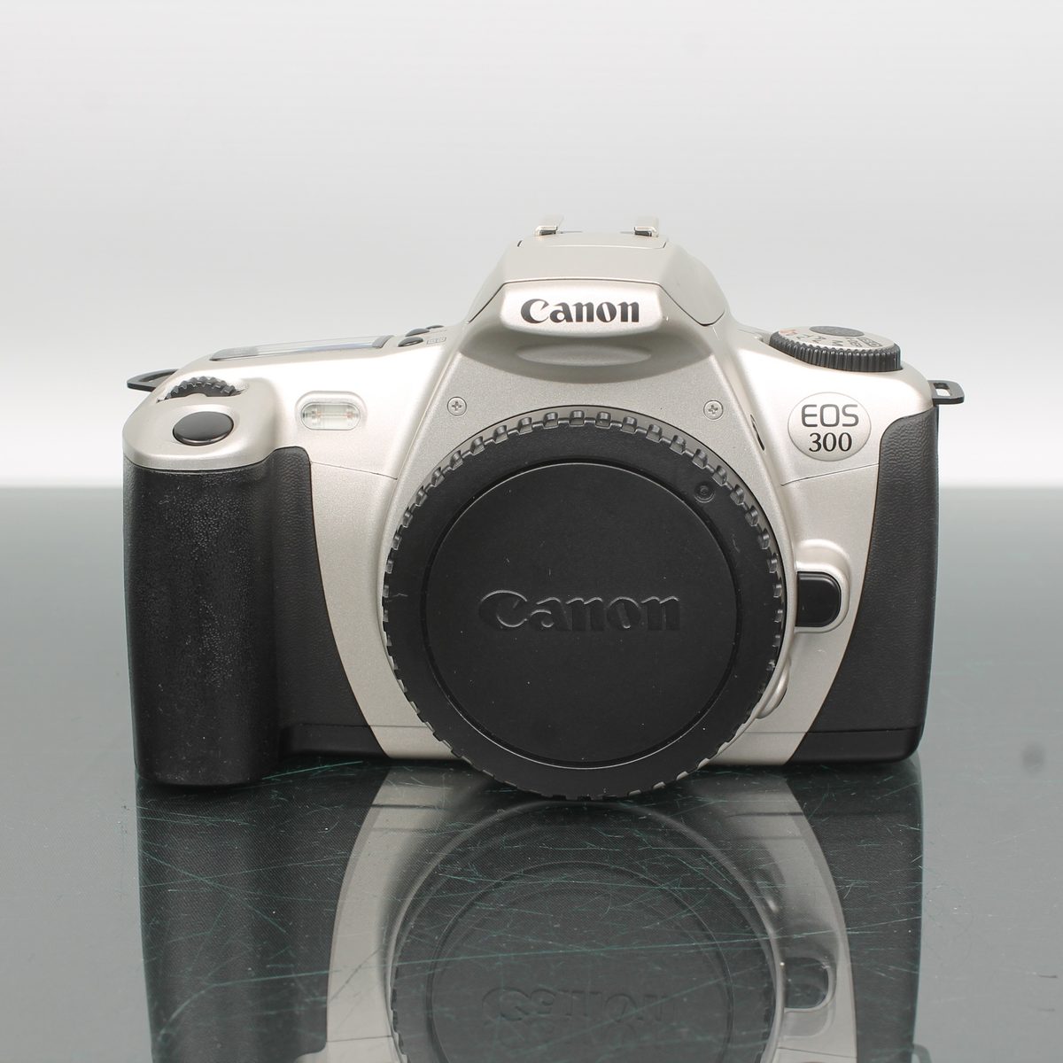 Canon EOS 300 + Canon Zoom Lens EF 29-90mm F/4-5.6