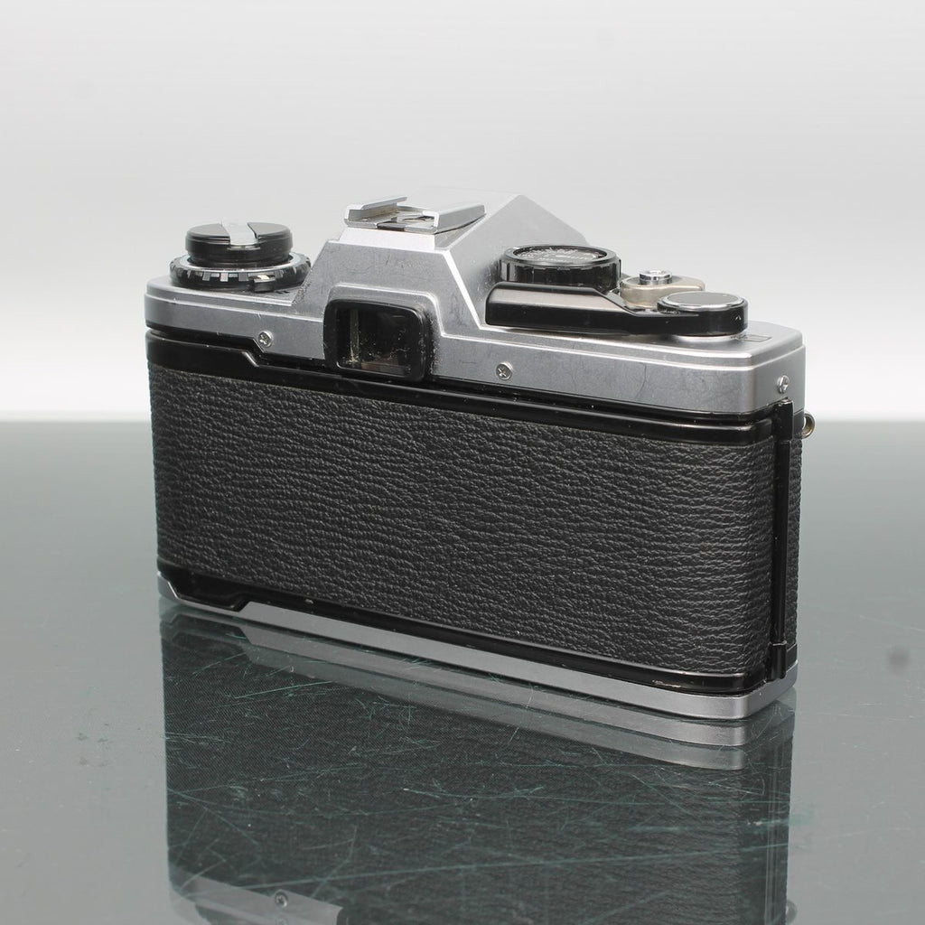 Olympus OM10 + Olympus OM F50mm 1:1.8