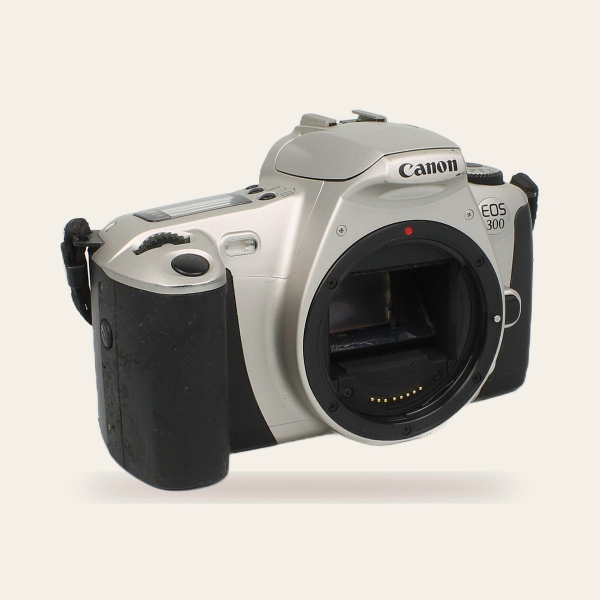 Canon EOS 300