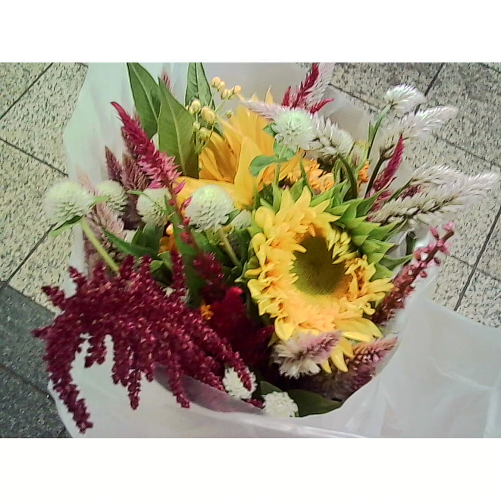 Kodak Charmera Keychain Digital Camera (Blind BOX!)