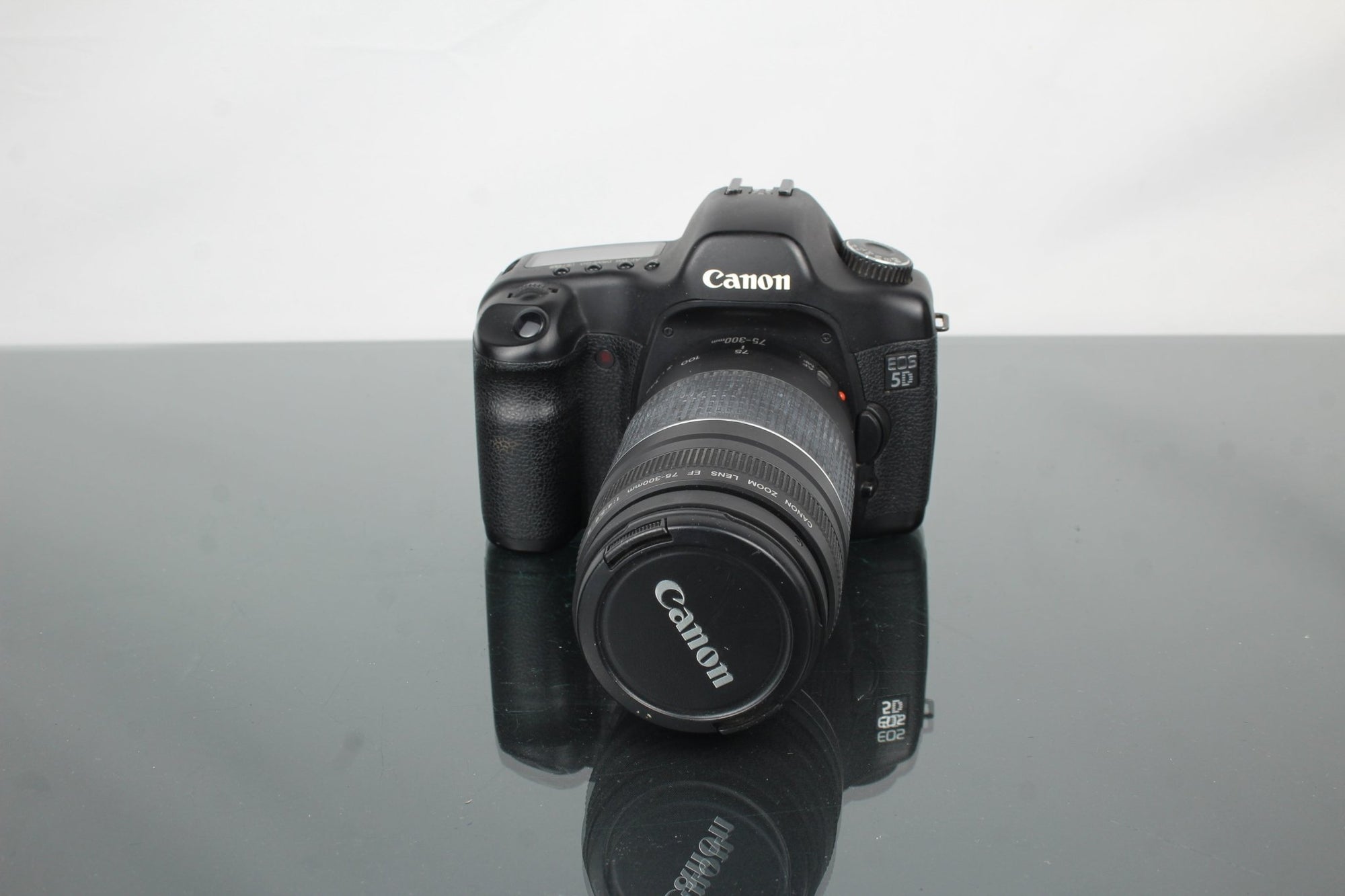 Canon 5D + EF 75 - 300mm 1:4 - 5.6 III Canon EF lens - Dutch|Thrift