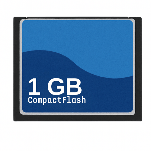 CompactFlash memory card 1GB - Dutch|Thrift