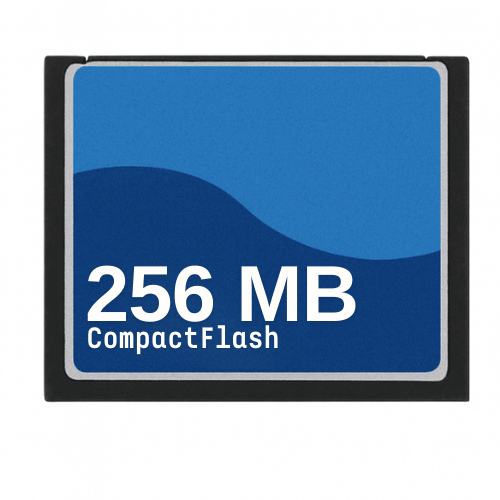 CompactFlash memory card 256MB - Dutch|Thrift