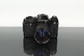 Contax 137 MD Quartz + Yashica ML Zoom 42 - 75mm f/3.5 - 4.5 - Dutch|Thrift