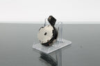 Hasselblad Rapid Winding Crank - Dutch|Thrift
