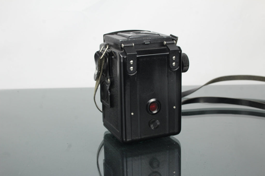 Lubitel 2 - Dutch|Thrift