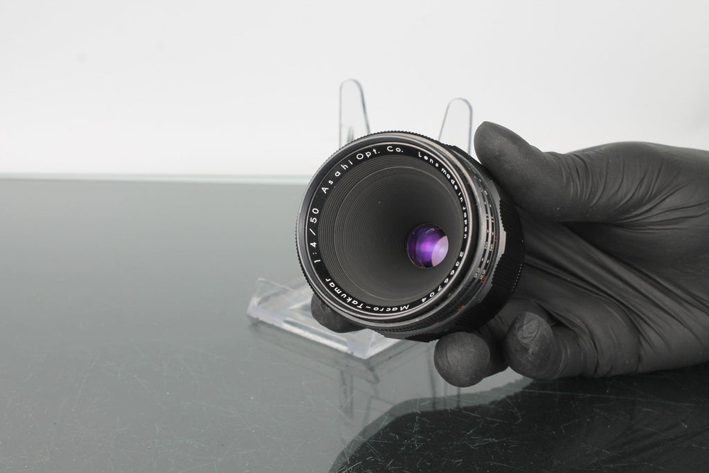 Macro - Takumar 1:4/50 - Dutch|Thrift