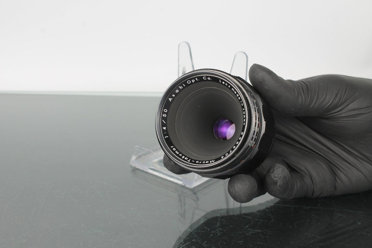 Macro - Takumar 1:4/50 - Dutch|Thrift