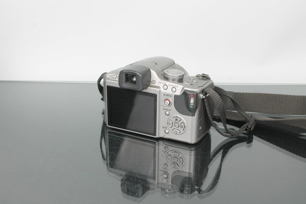Panasonic FZ28 - Dutch|Thrift