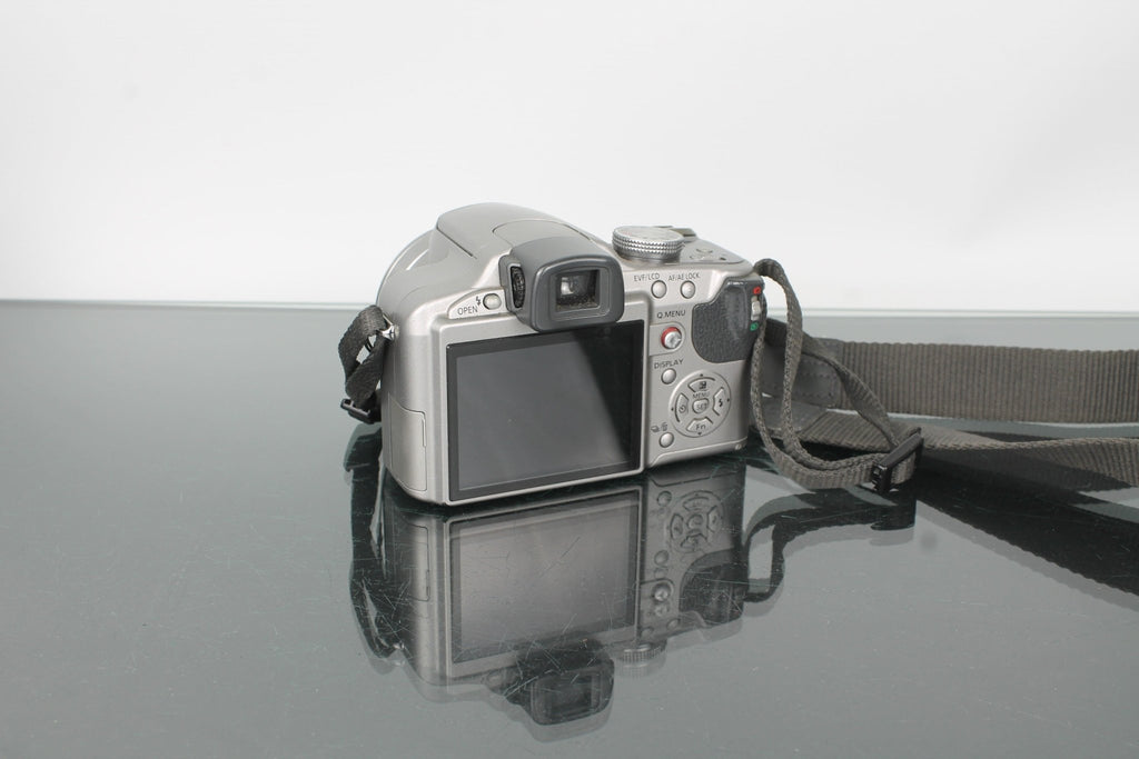 Panasonic FZ28 - Dutch|Thrift