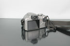 Panasonic FZ28 - Dutch|Thrift