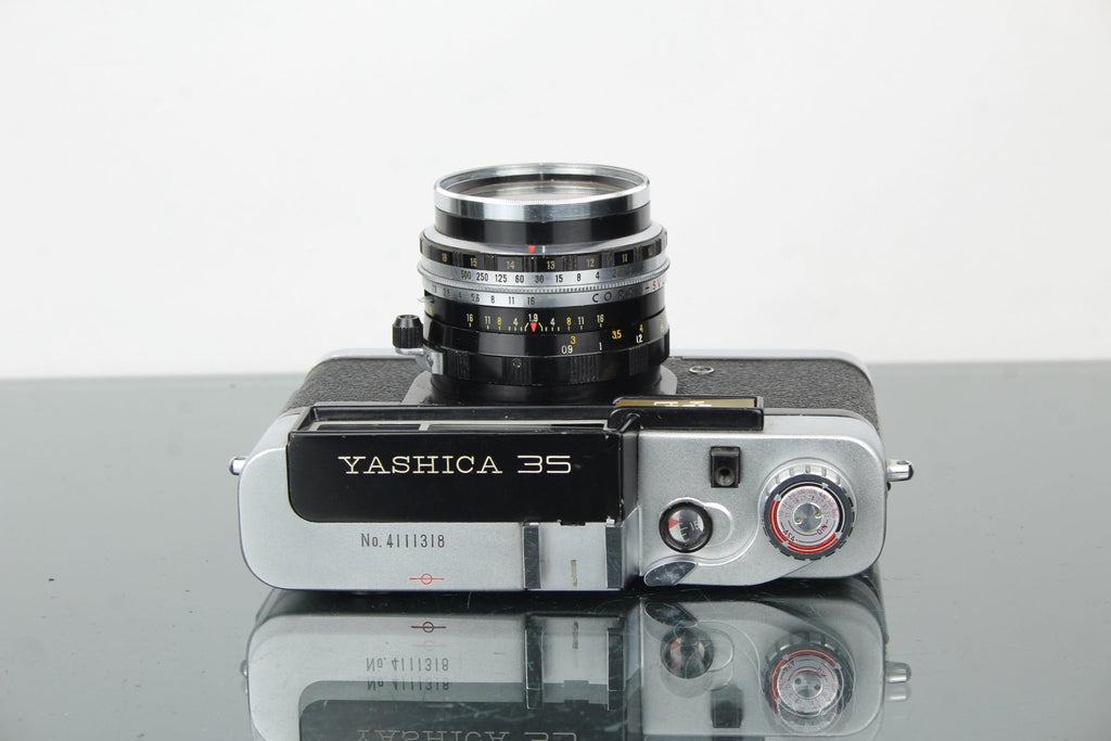 Yashica 35 YL - Dutch|Thrift