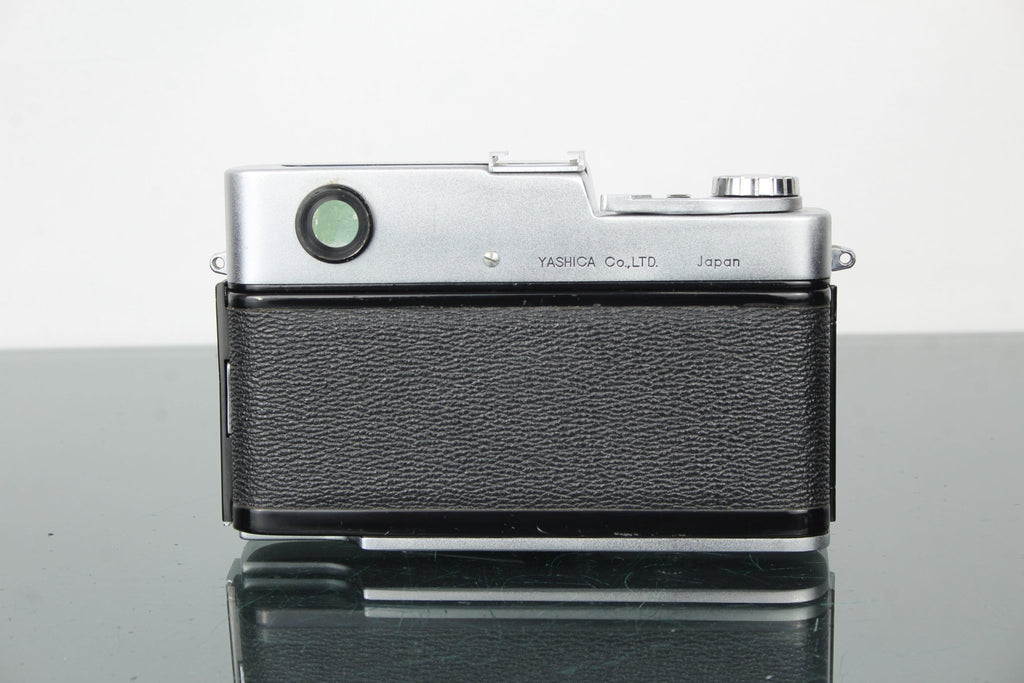 Yashica 35 YL - Dutch|Thrift