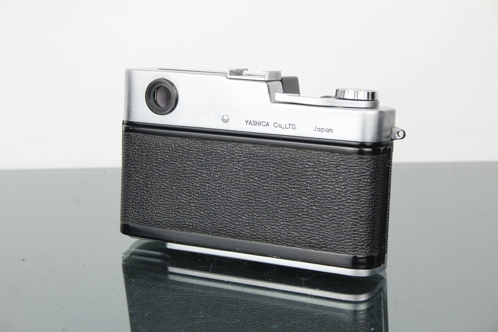 Yashica 35 YL - Dutch|Thrift