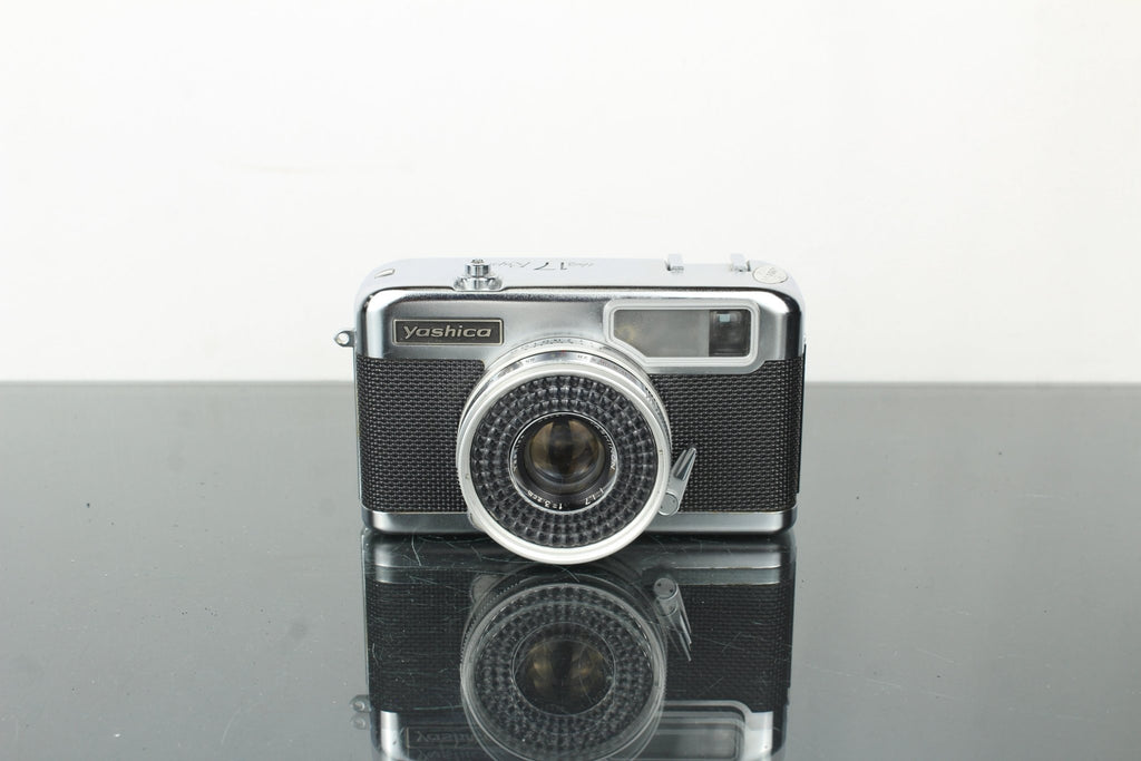 Yashica Half 17 Rapid - Dutch|Thrift