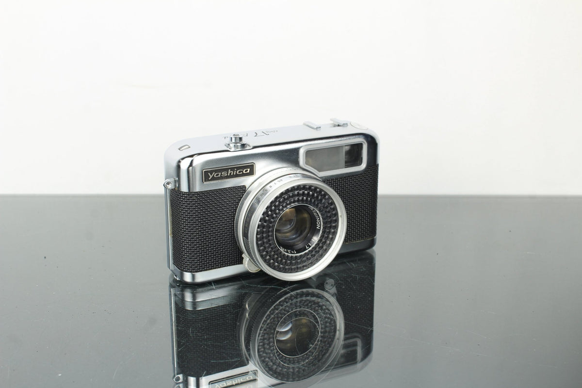 Yashica Half 17 Rapid - Dutch|Thrift