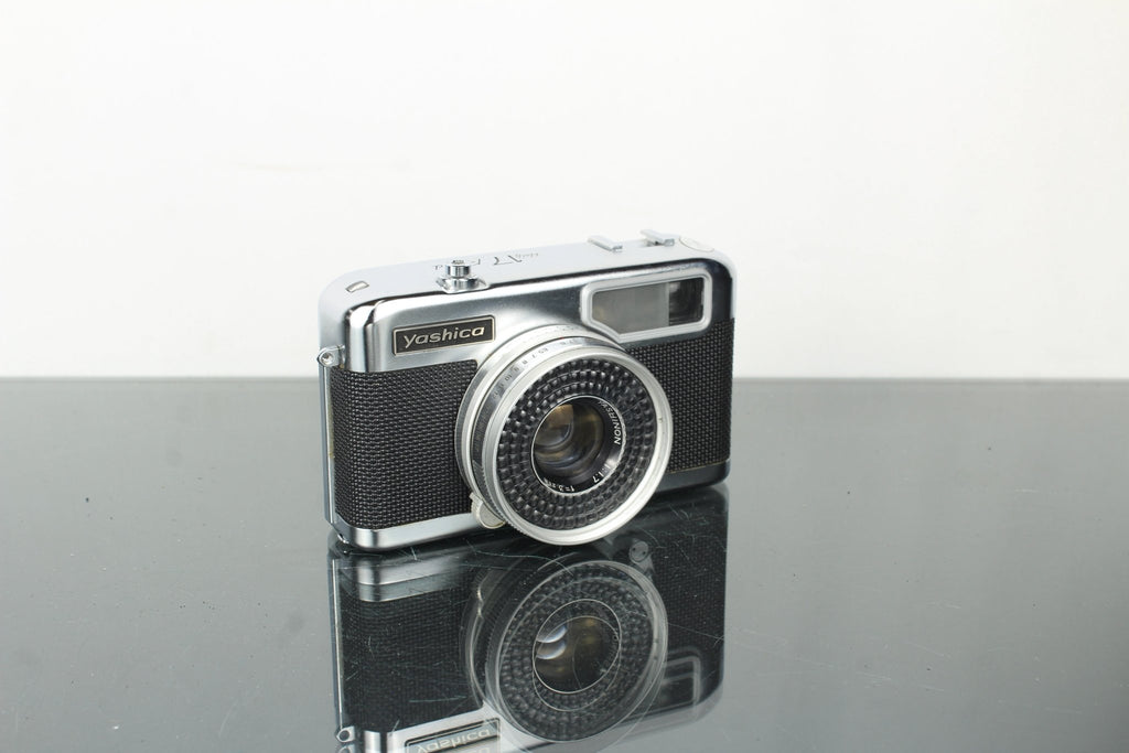 Yashica Half 17 Rapid – Dutch|Thrift